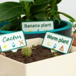 etiqueta plantas