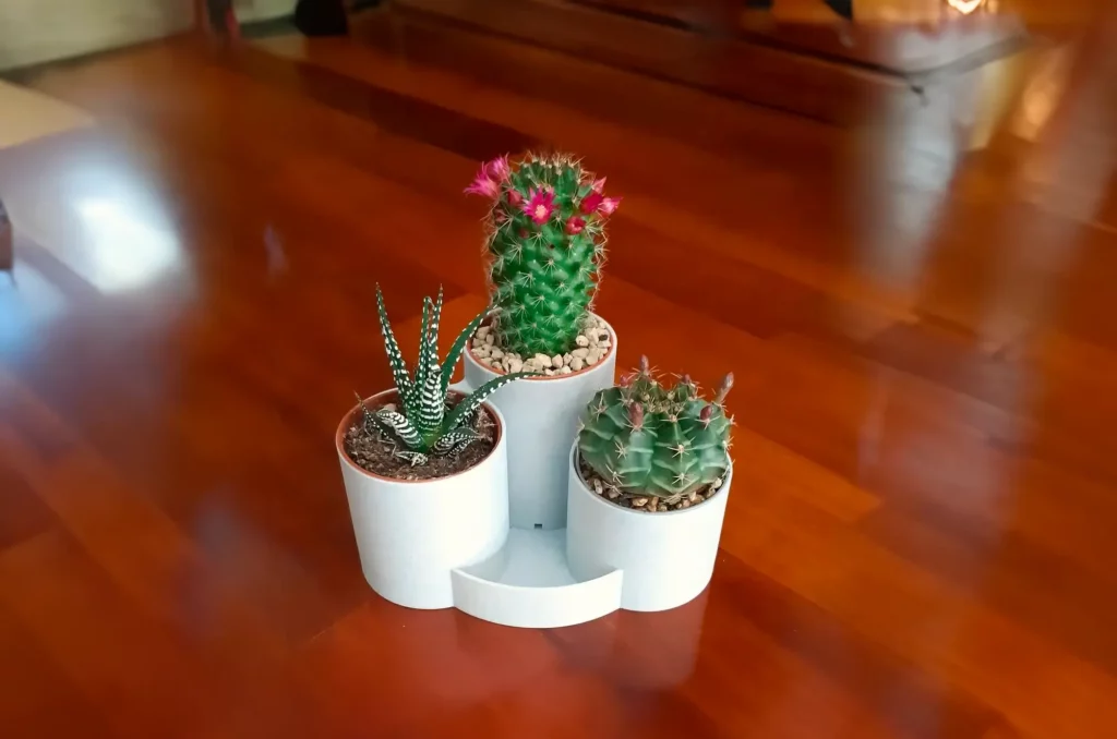 maceta cactus 1